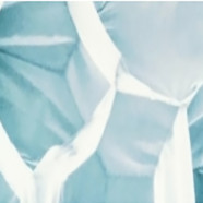 Bio01