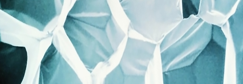 Bio01
